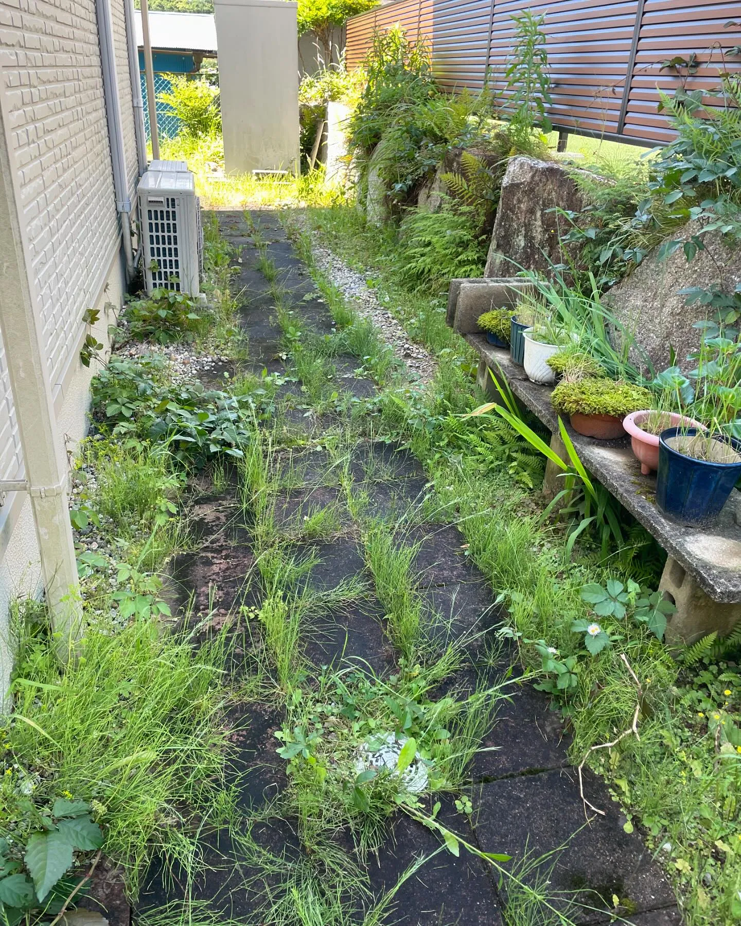 草取りご依頼の一例です🌱