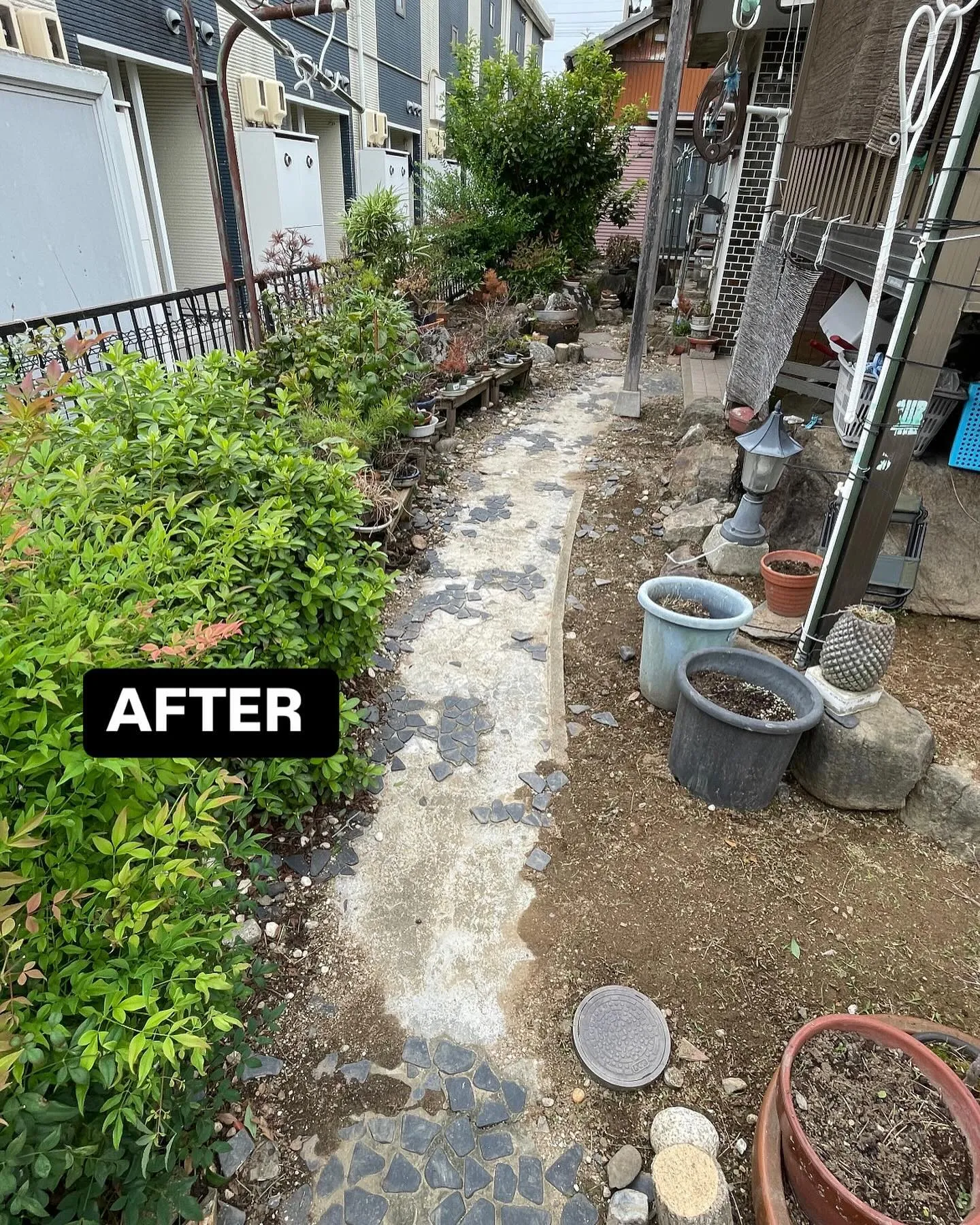 今年3度目のリピーター様宅の草取り🌱