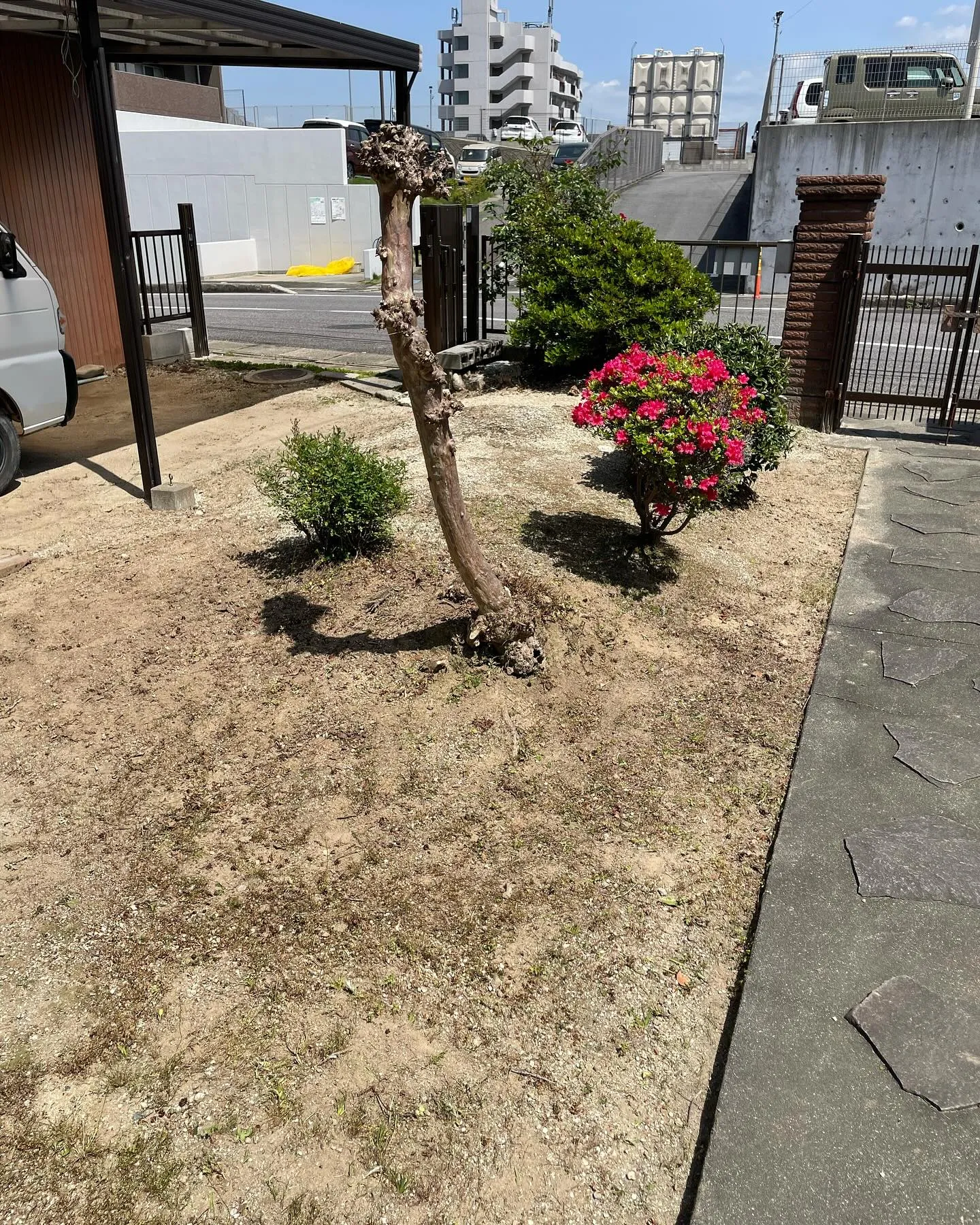 草取り剪定のご依頼