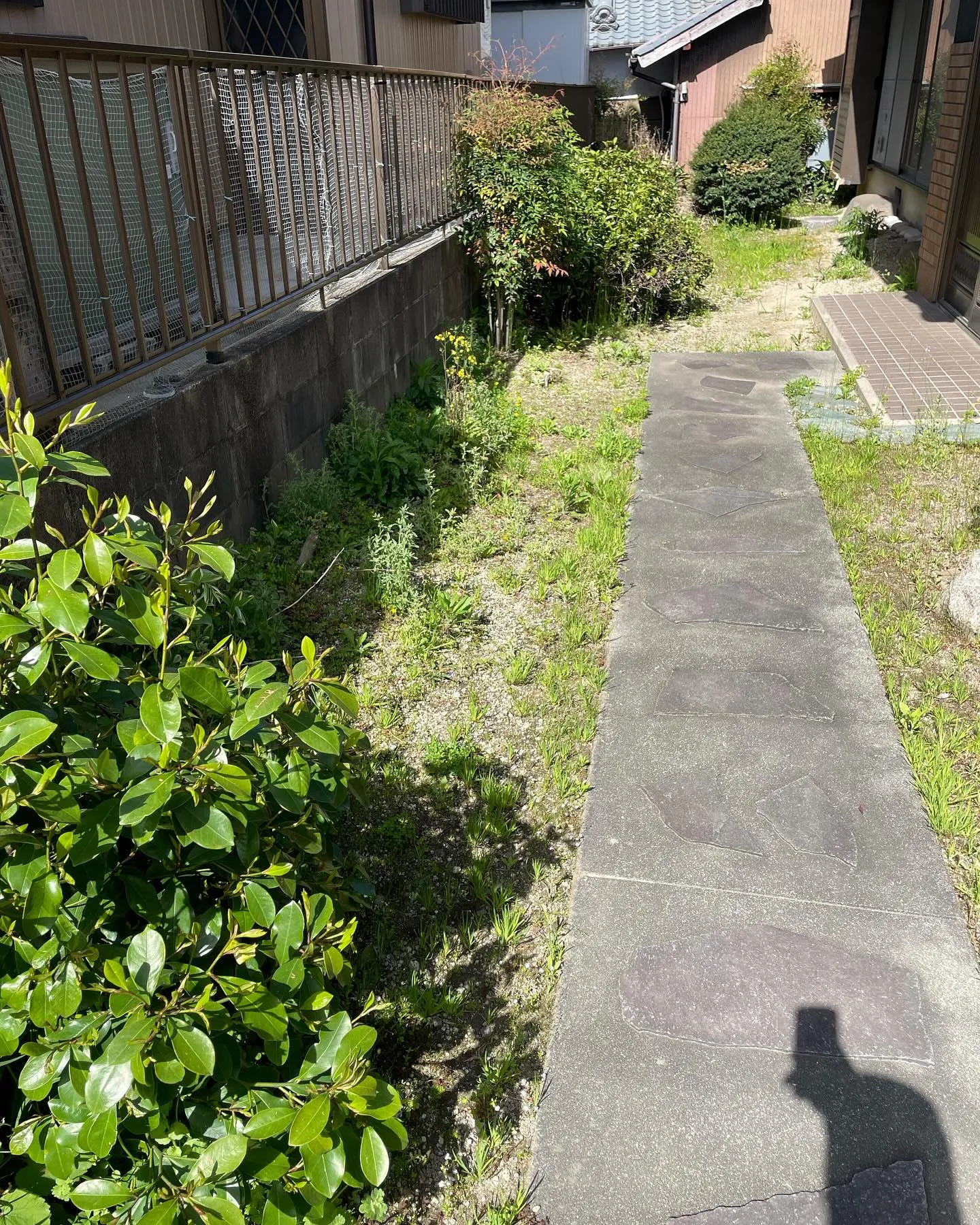 草取り剪定のご依頼