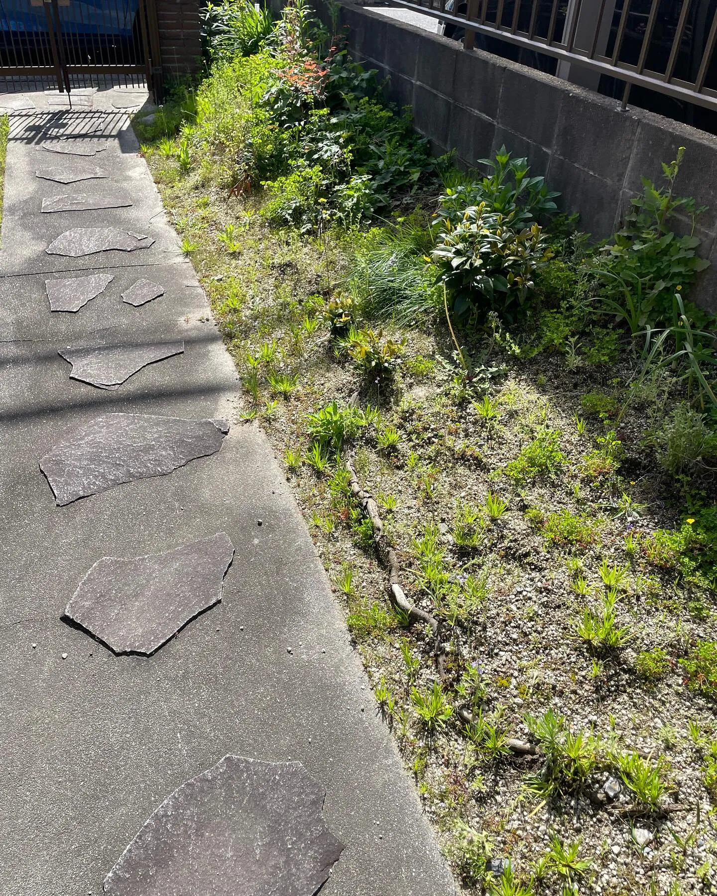 草取り剪定のご依頼