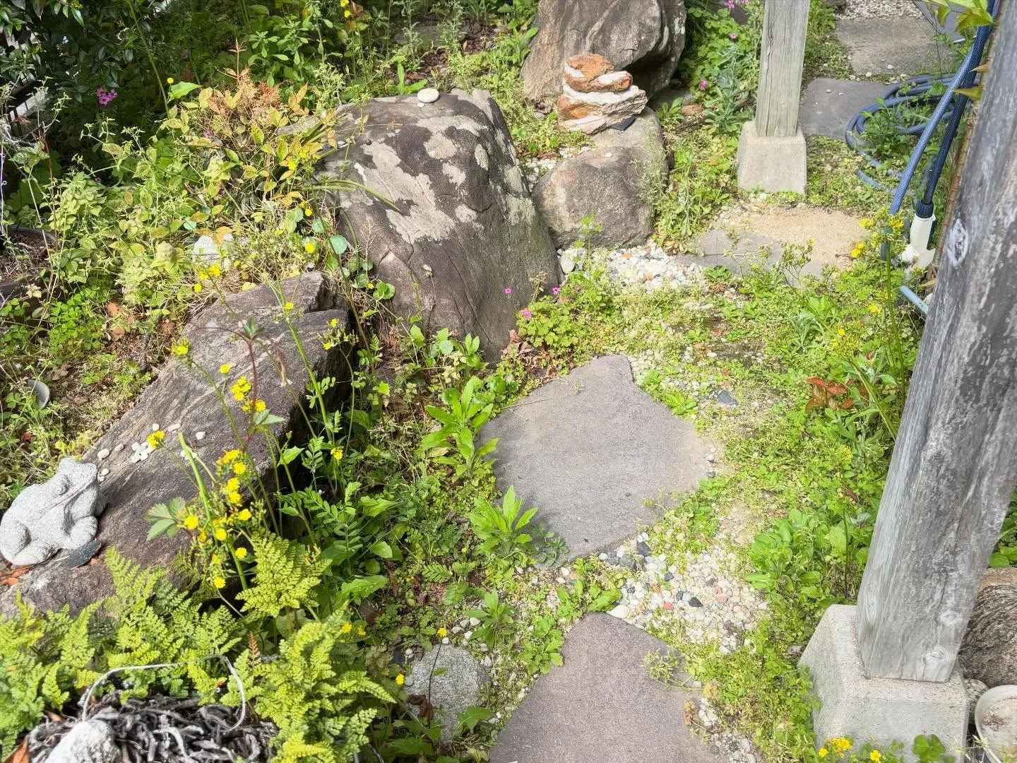 豊田市高上町にて草取り🌱