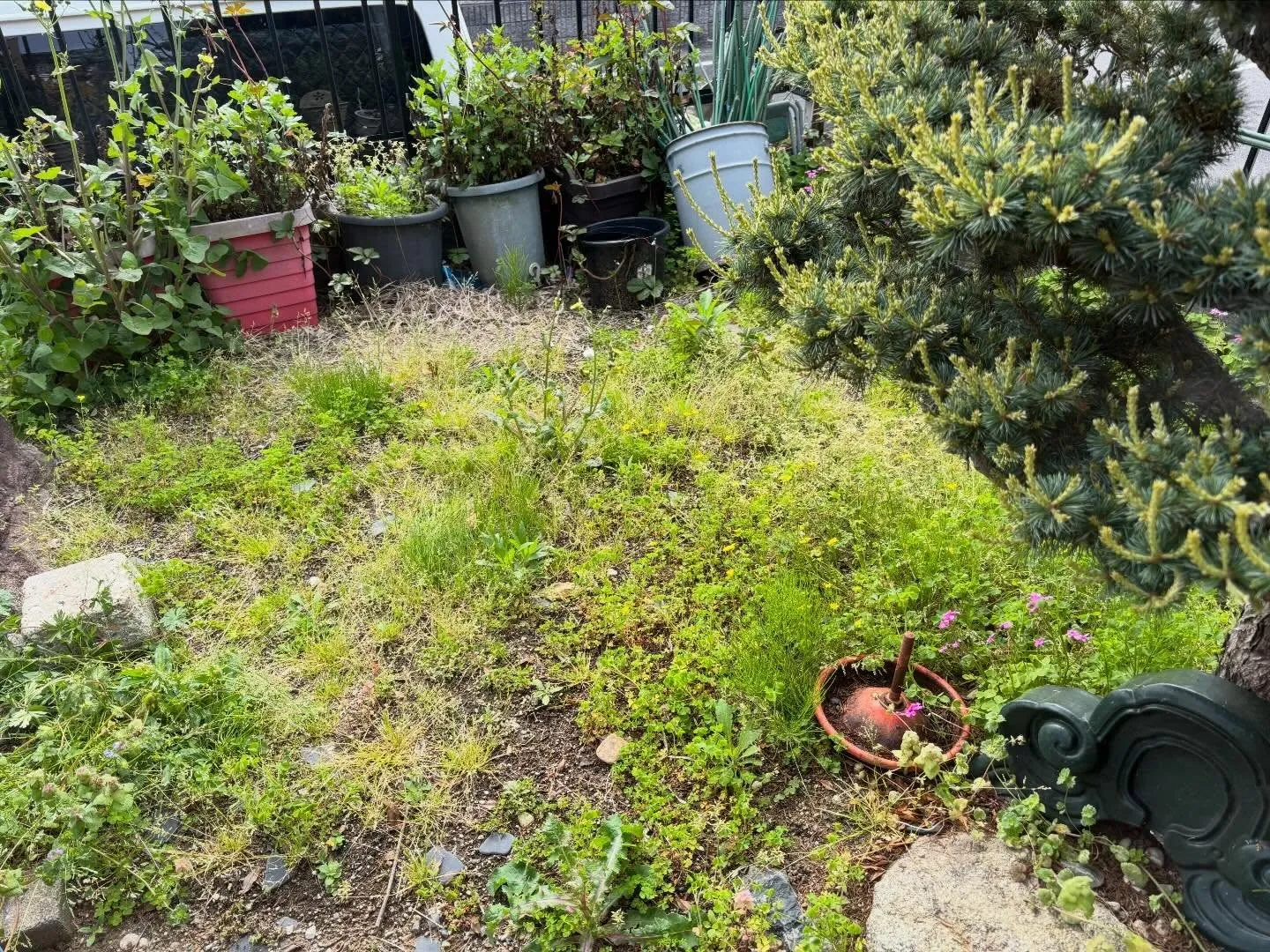 豊田市高上町にて草取り🌱