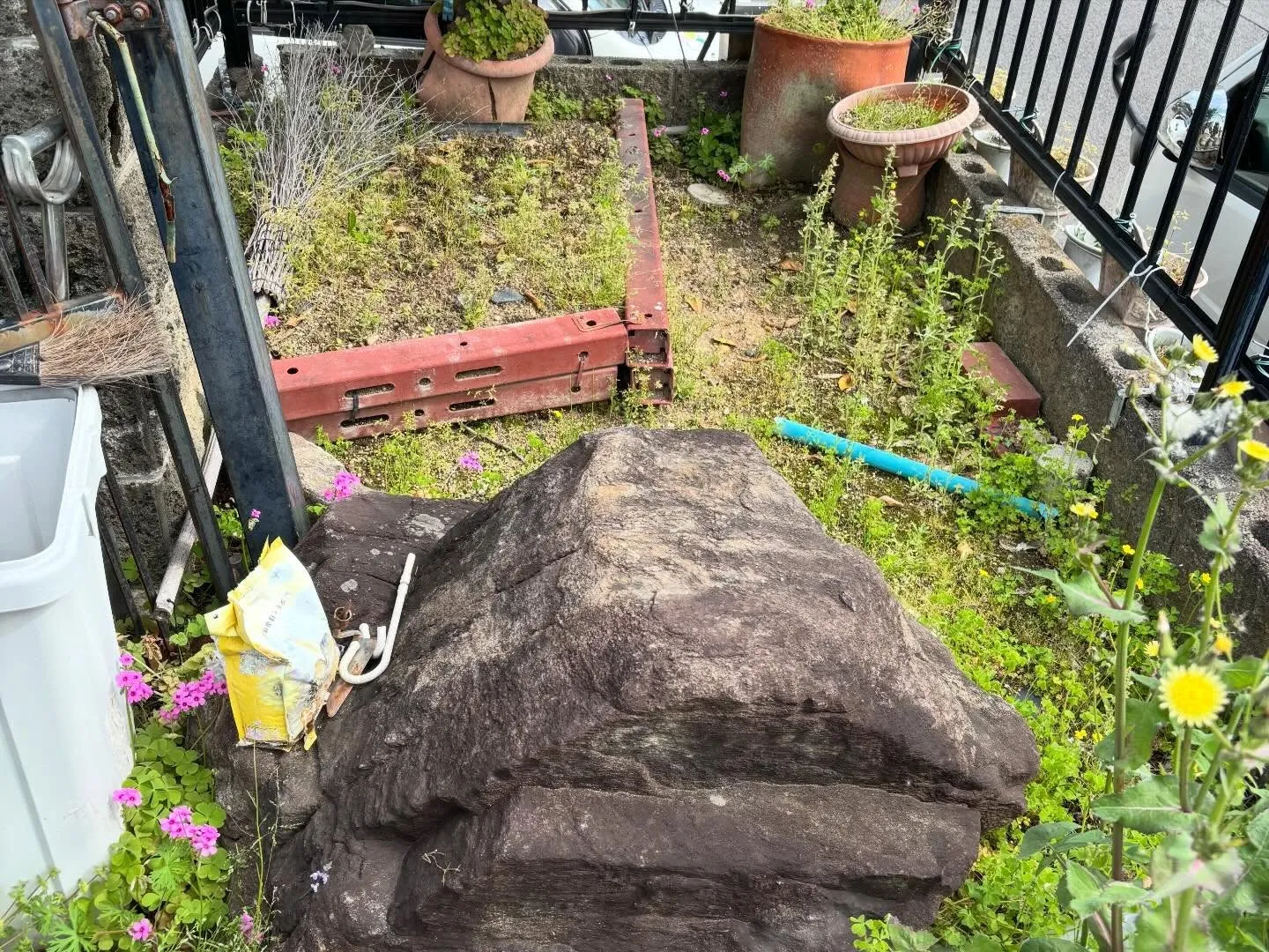 豊田市高上町にて草取り🌱