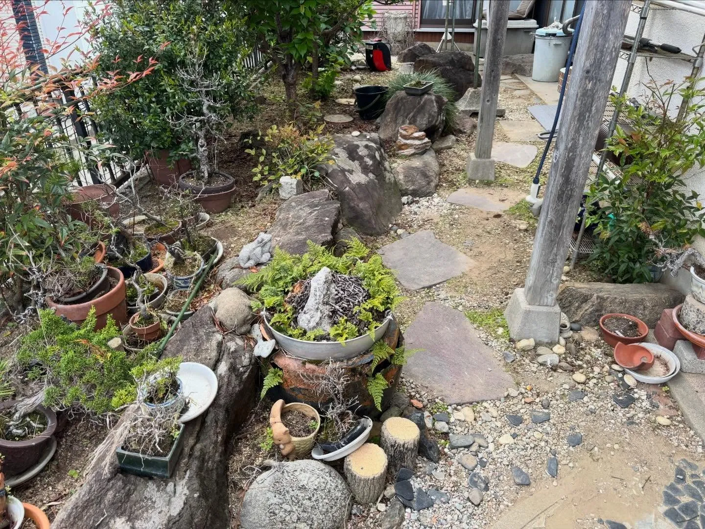 豊田市高上町にて草取り🌱