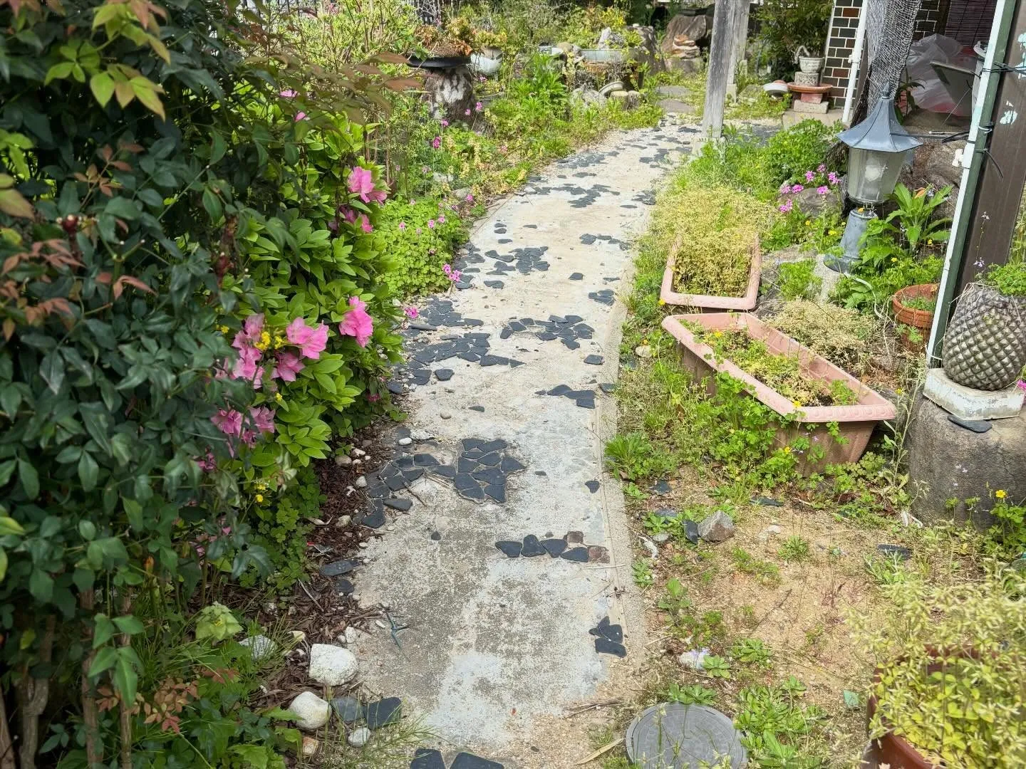 豊田市高上町にて草取り🌱