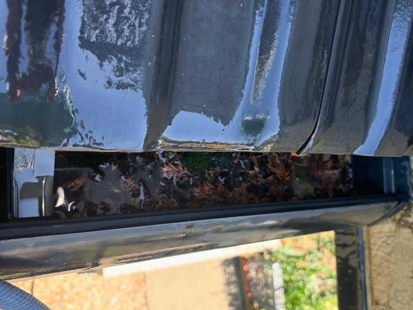 豊田市野見町にて雨樋清掃のご依頼。