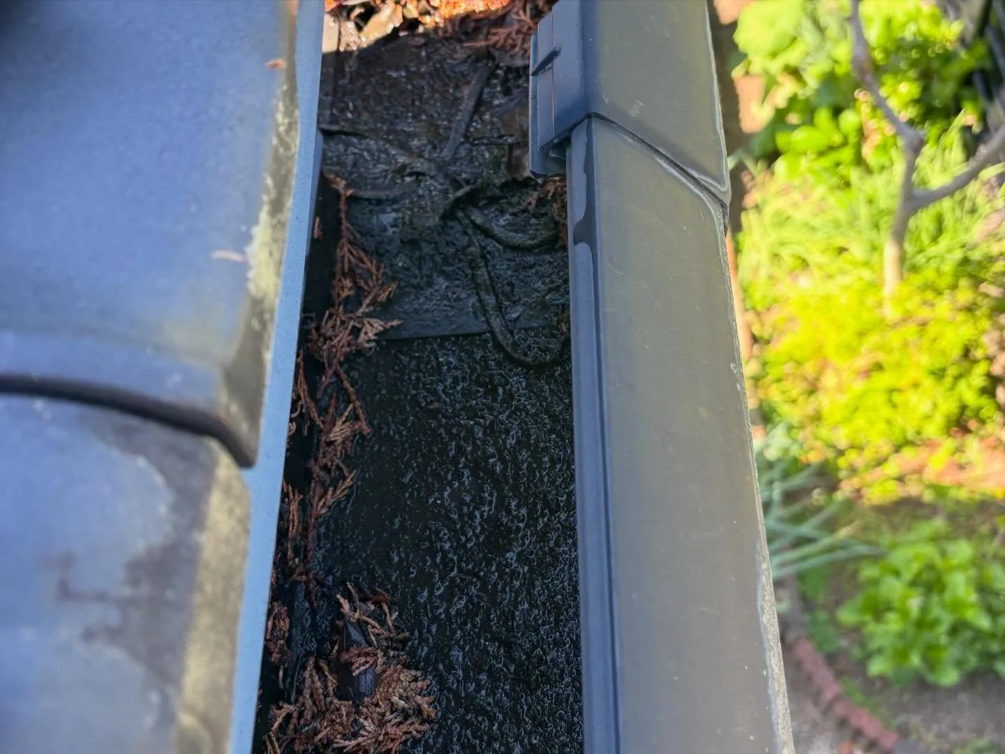 豊田市野見町にて雨樋清掃のご依頼。