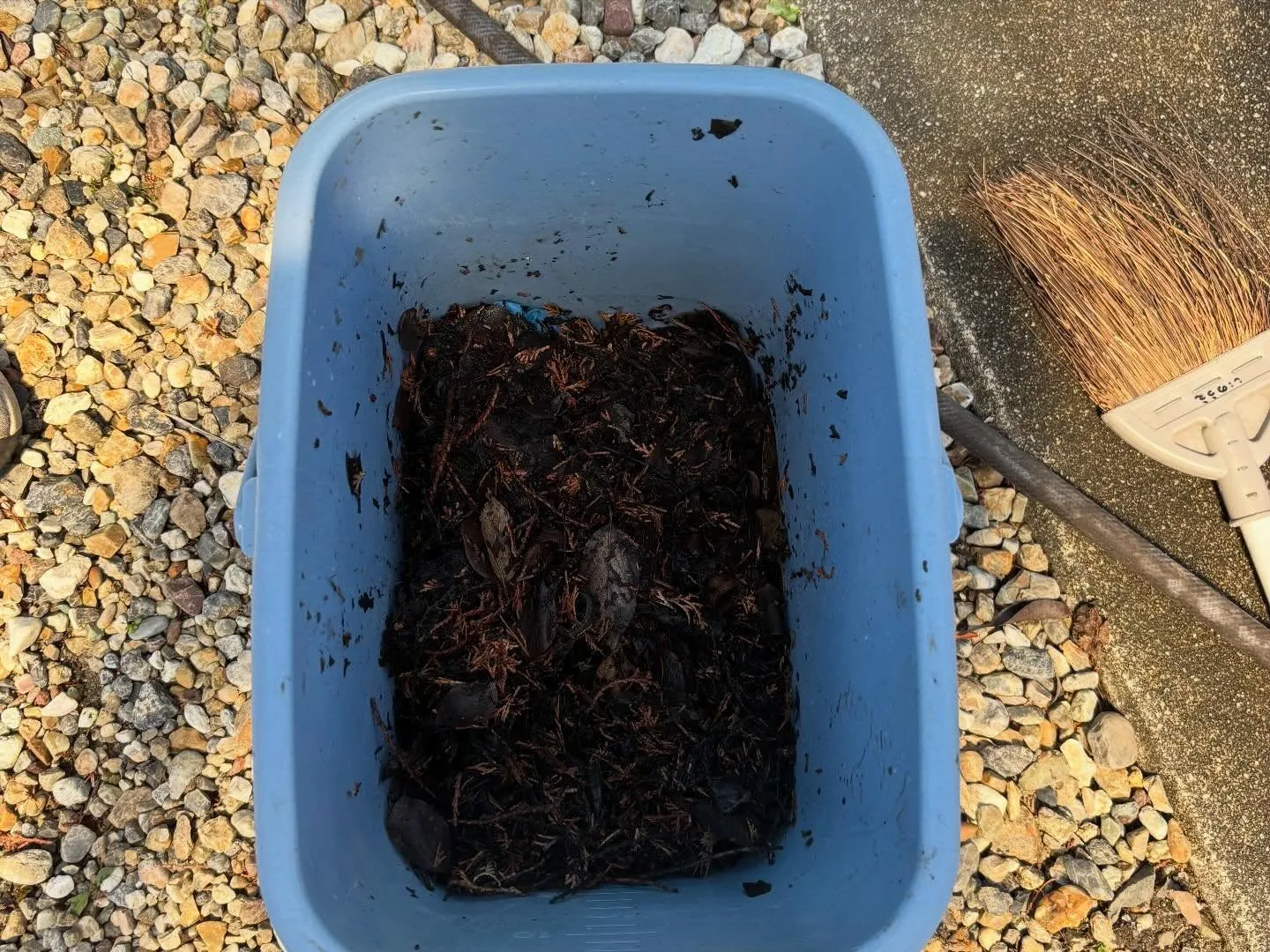 豊田市野見町にて雨樋清掃のご依頼。