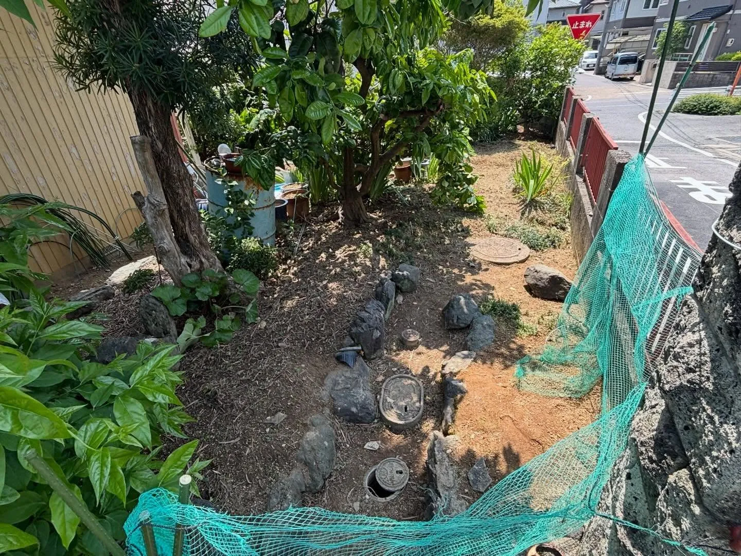 豊田市朝日丘町にて草刈り、草取りのご依頼🌱