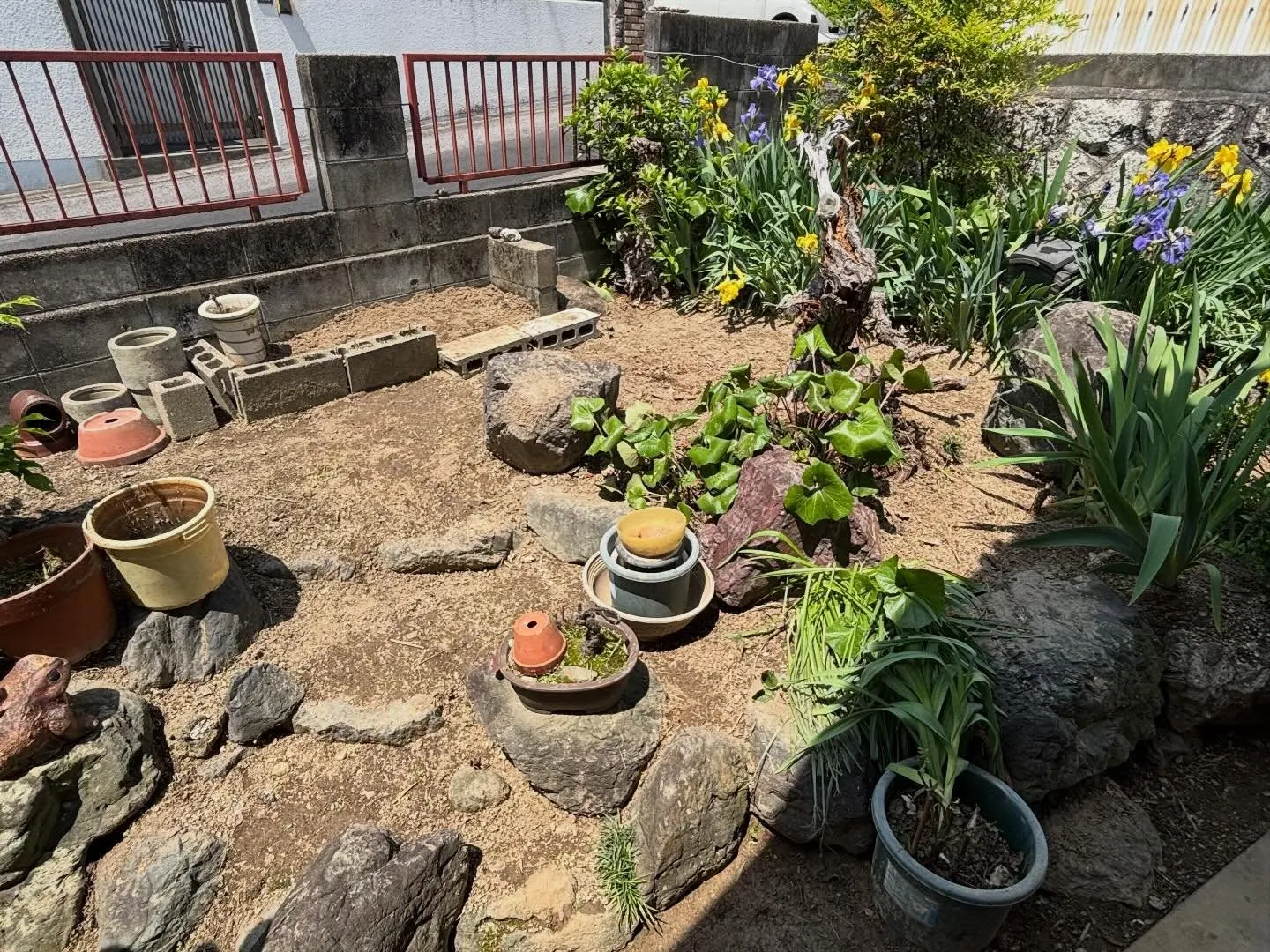 豊田市朝日丘町にて草刈り、草取りのご依頼🌱