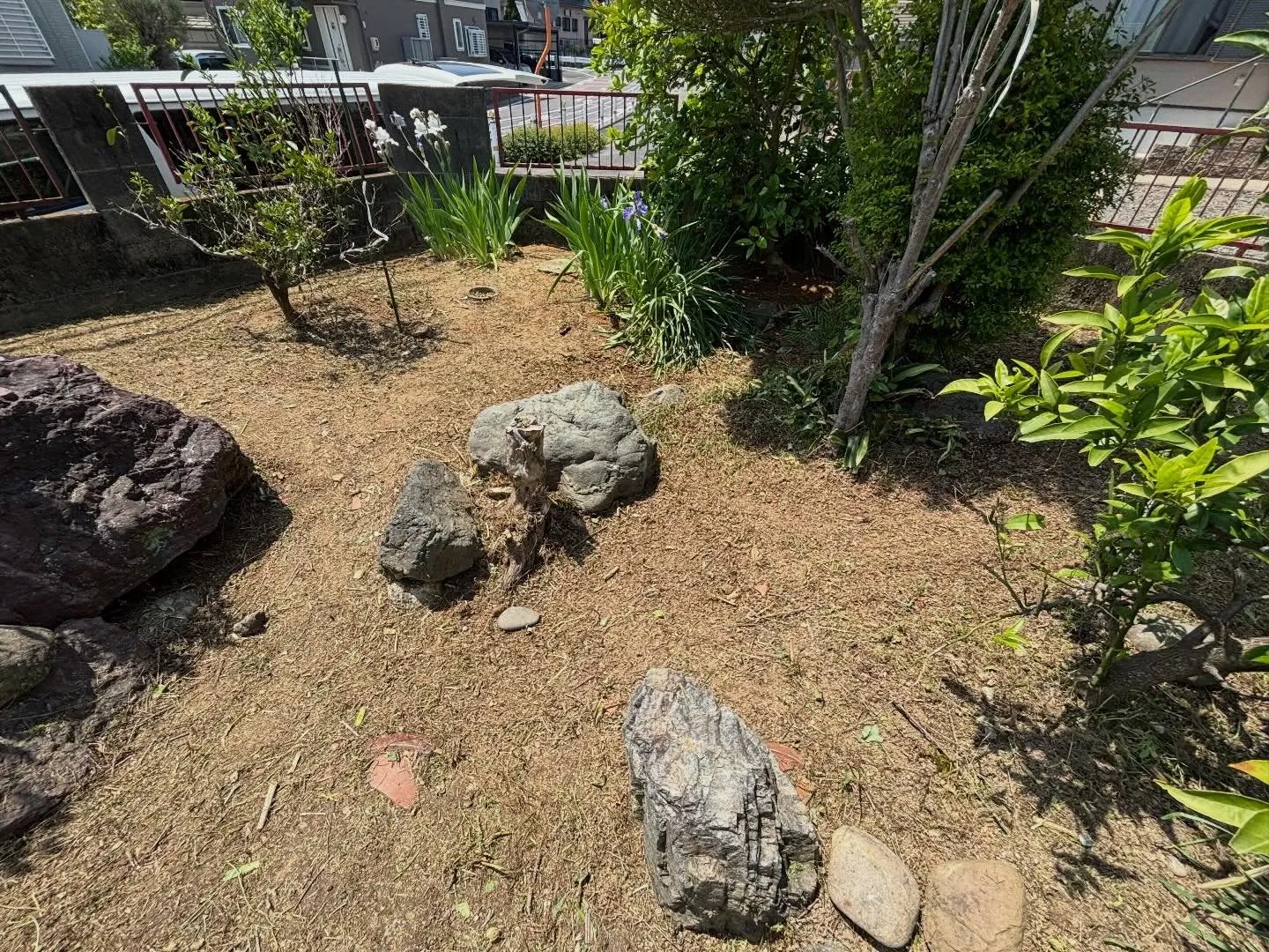 豊田市朝日丘町にて草刈り、草取りのご依頼🌱