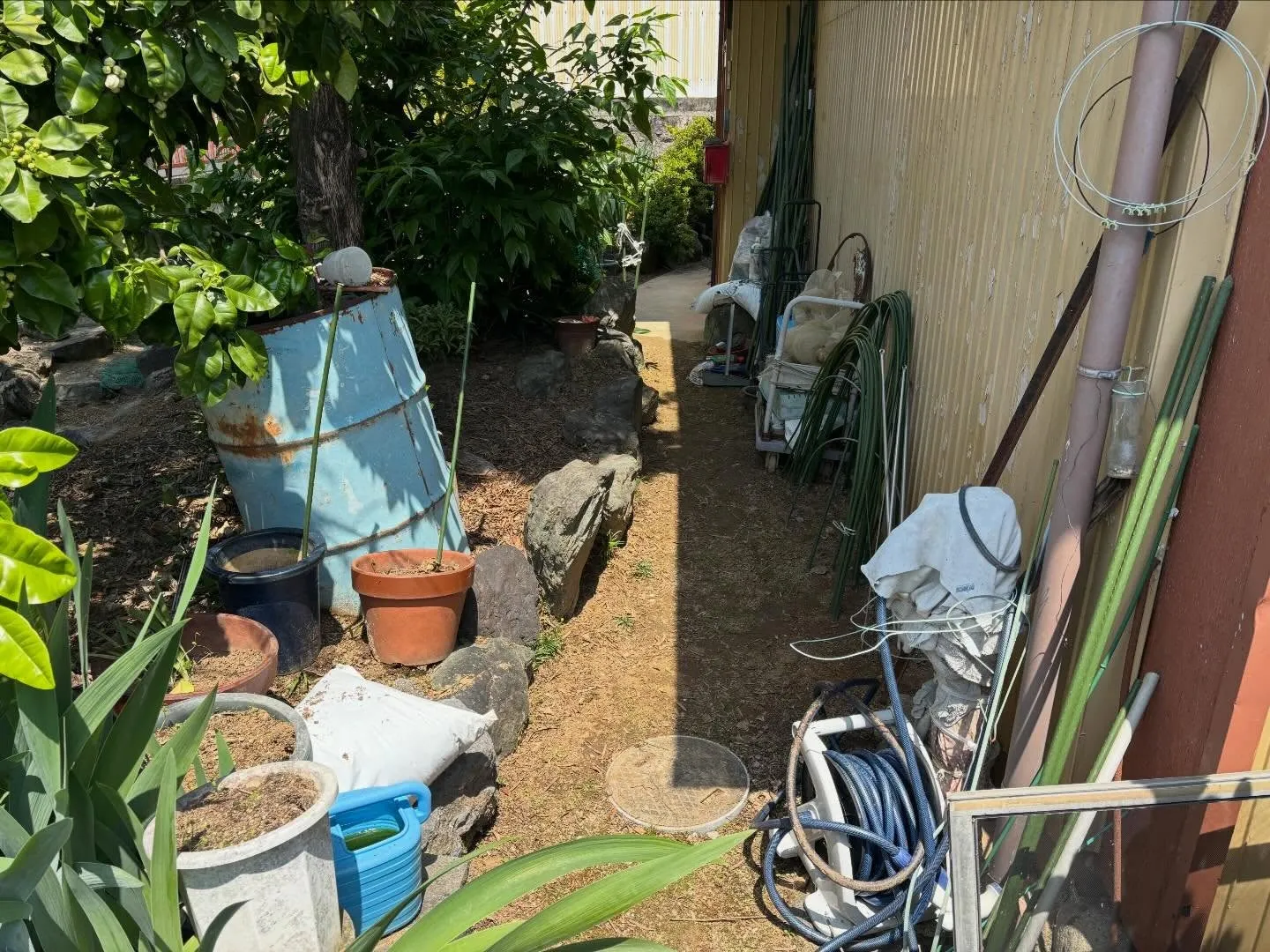 豊田市朝日丘町にて草刈り、草取りのご依頼🌱